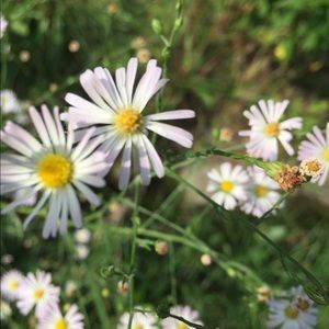 Meet your Posher, Julia